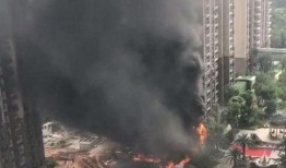 最新火灾新闻爆料,多部门全力救援